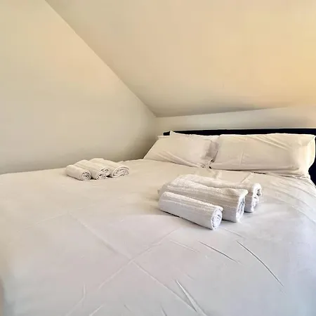 Elegante Attico Bilivello Con Vista Sulla Mole * Turín